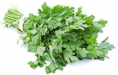 Parsley Continental-Fresh Connection-Fresh Connection