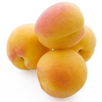 Apricots (Large)-Fresh Connection-Fresh Connection