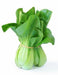 Baby Bok Choy-Fresh Connection-Fresh Connection