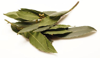 Bay Leaves-Fresh Connection-Fresh Connection