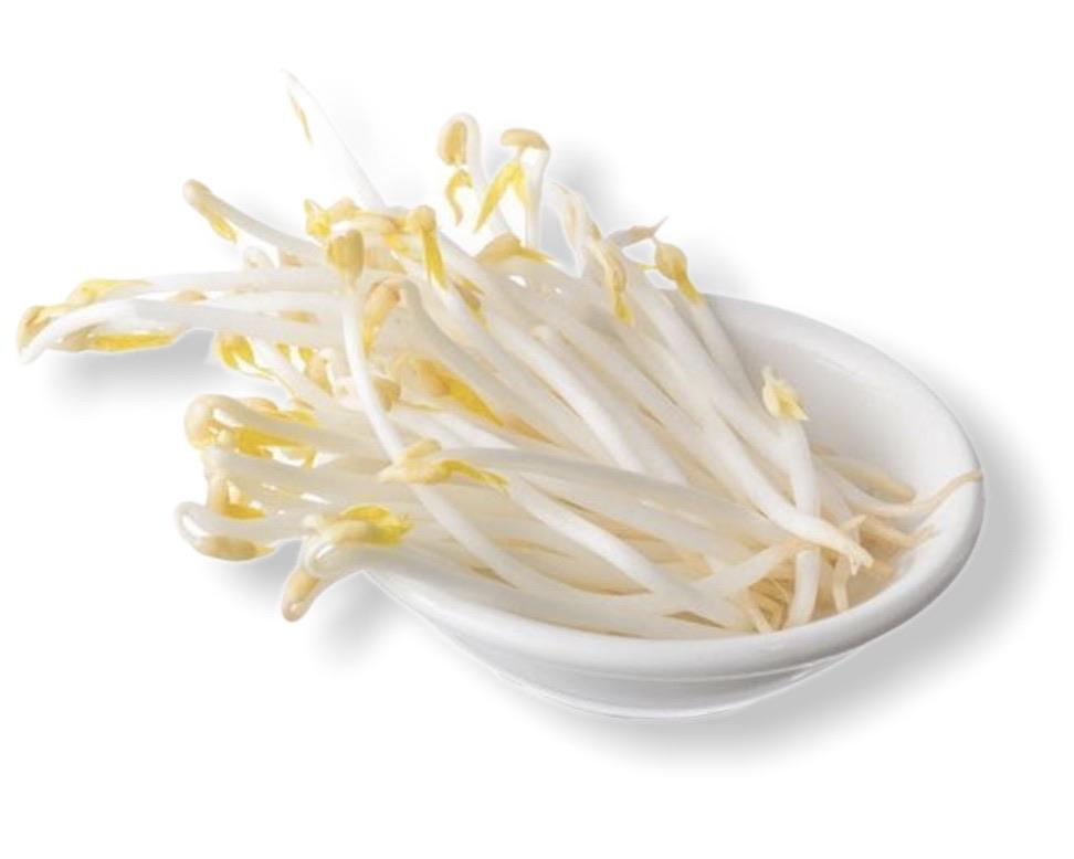 beans-shoots-250g-fresh-connection