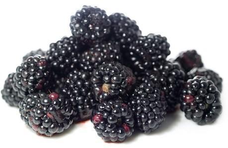 Blackberries (125g)-Fresh Connection-Fresh Connection
