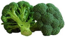 Broccoli-Fresh Connection-Fresh Connection