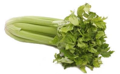 Celery-Fresh Connection-Fresh Connection