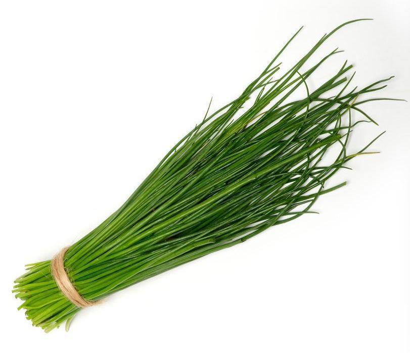 Chives Translation Chives — Fresh Connection
