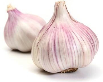 Garlic - Purple - Produce of ARGENTINA-Fresh Connection Brighton VIC