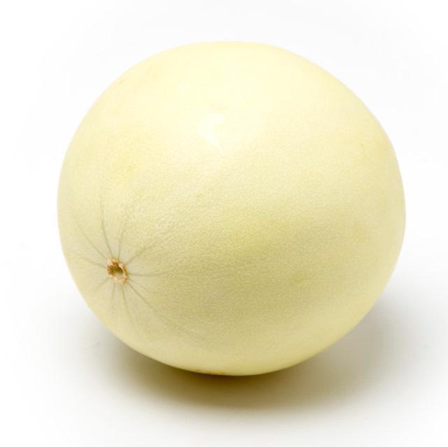 Honeydew melon — Fresh Connection