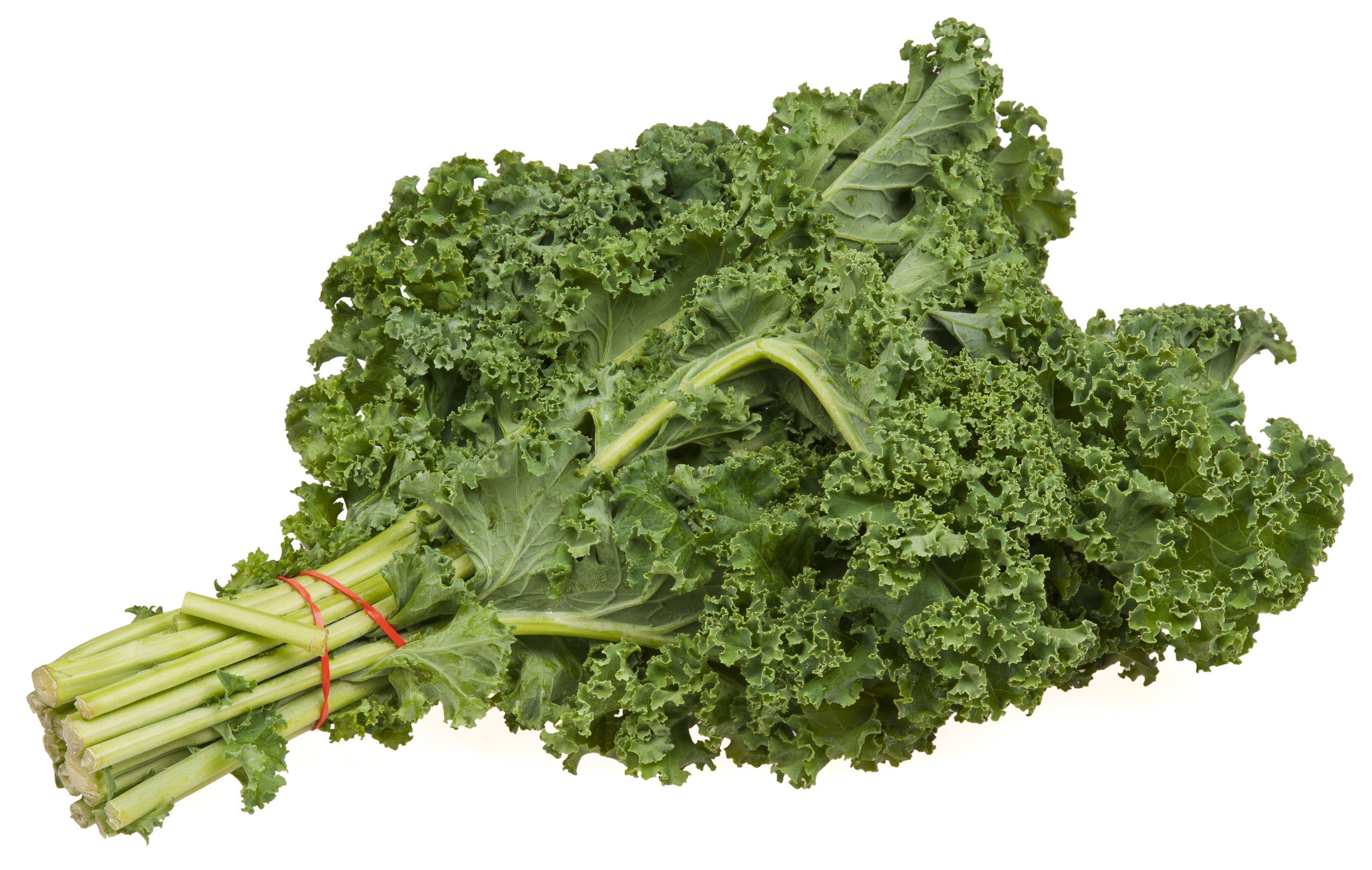 Kale - Bunch-Fresh Connection-Fresh Connection