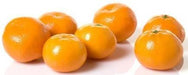 Mandarin - Afourer - large- each-Fresh Connection Brighton VIC