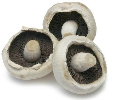 Mushrooms - Flats (500g)-Fresh Connection-Fresh Connection