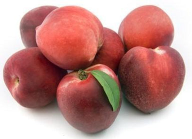 Nectarines - White-Fresh Connection Brighton VIC