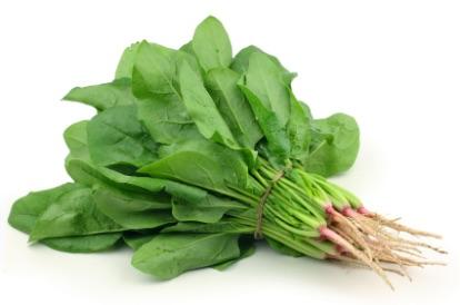 Spinach - English (1 bunch)