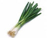Spring Onions-Fresh Connection-Fresh Connection